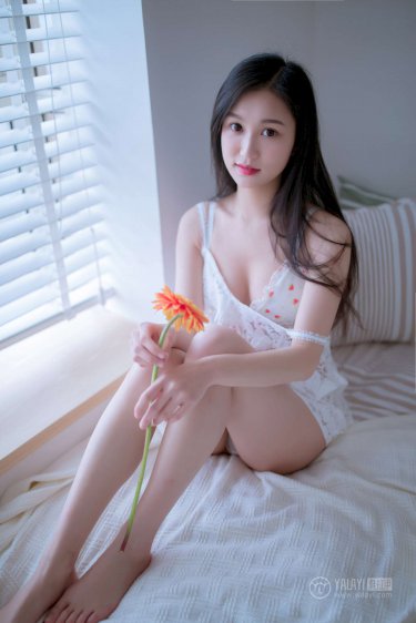 皮皮高清影视