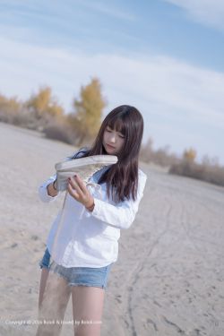 电视剧爱情真善美