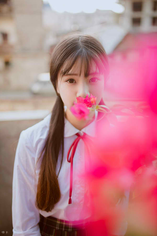艾草仙姑